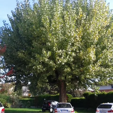 Trattoria Fioravante Ξενοδοχείο *